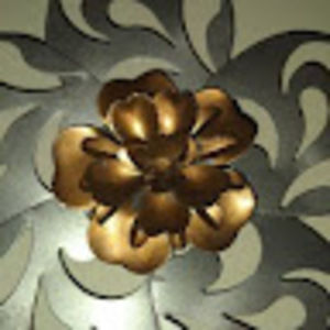 Meet your Posher, Oneyda